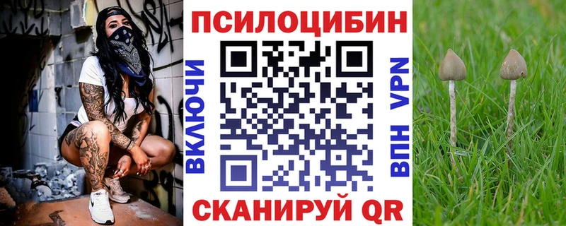 Галлюциногенные грибы Cubensis  закладка  Нягань 