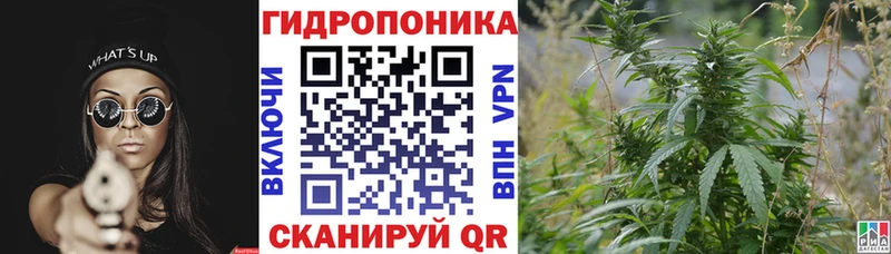 Конопля гибрид  Нягань 